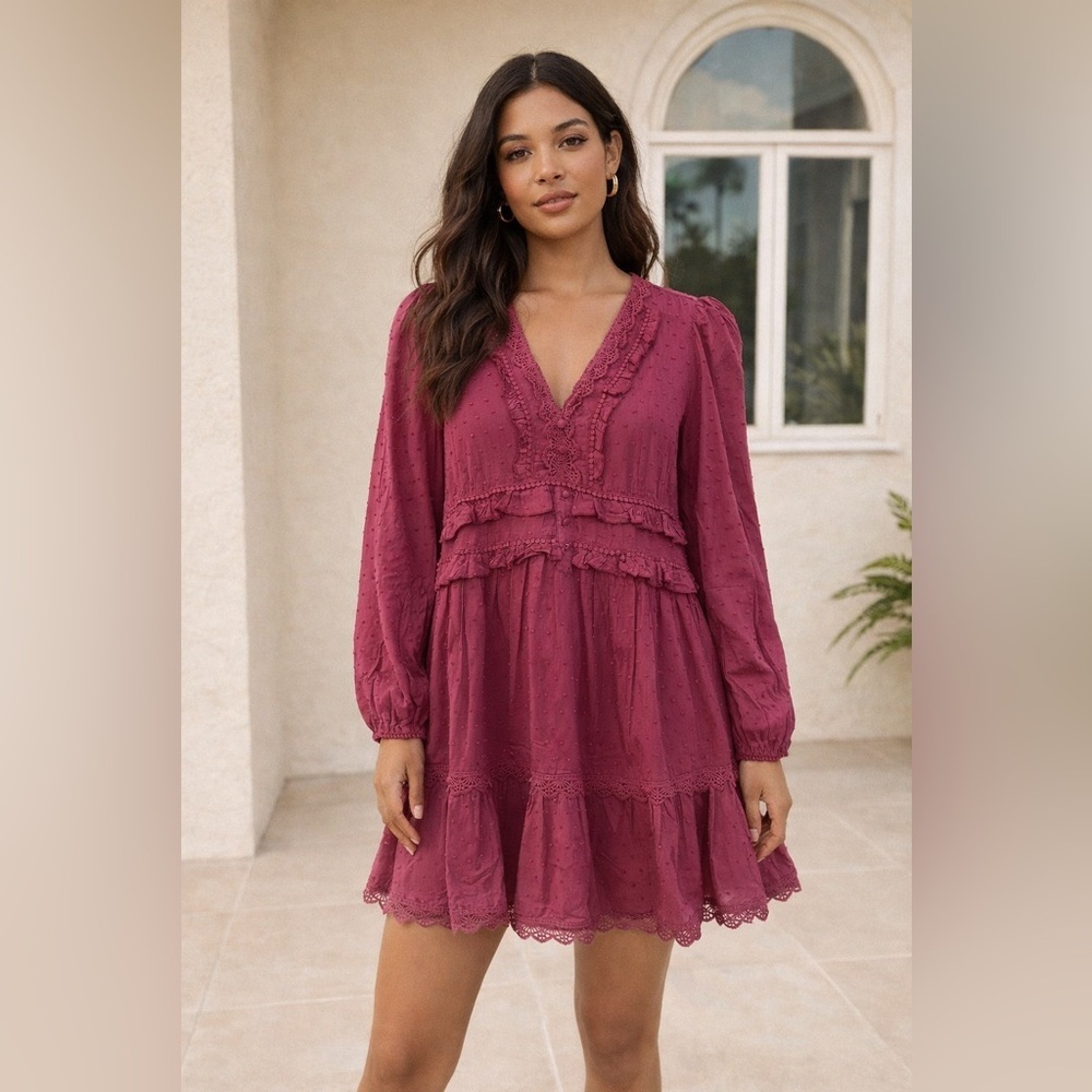 Baby Pink Garden Girl Boho Swiss Dot Lace Ruffle Mini Dress Burgundy Medium NWT
